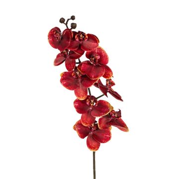 Künstliche Phalaenopsis Orchidee FEMILLA, dunkelorange, 95cm Künstliche Phalaenopsis Orchidee FEMILLA, dunkelorange, 95cm