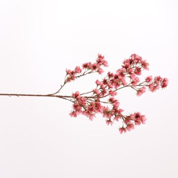 Kunstzweig Zierkirsche ESMORAH mit Blüten, rosa, 85cm Kunstzweig Zierkirsche ESMORAH mit Blüten, rosa, 85cm