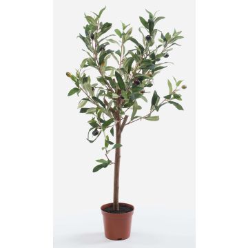 Olivenbaum künstlich ALBERTO, Echtstamm, mit Früchten, 65cm Olivenbaum künstlich ALBERTO, Echtstamm, mit Früchten, 65cm