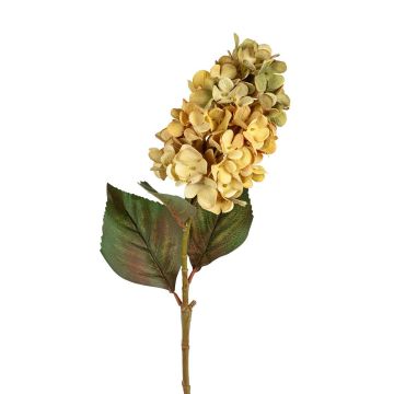 Künstliche Blume Hortensie GINADELA, grün, 70cm Künstliche Blume Hortensie GINADELA, grün, 70cm
