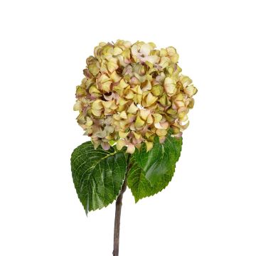Textilblume Hortensie KIRAMA, grün, 60cm Textilblume Hortensie KIRAMA, grün, 60cm