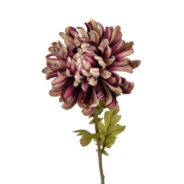 Dekoblume Chrysantheme LANDISA, taupe-rosa, 60cm Dekoblume Chrysantheme LANDISA, taupe-rosa, 60cm