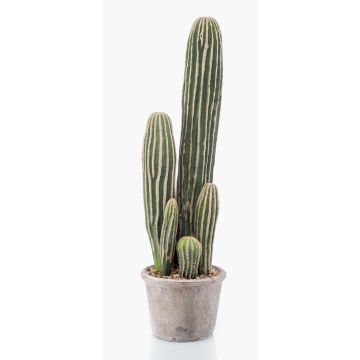 Künstlicher Kaktus San Pedro DACON im Dekotopf, grün, 55cm