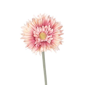 Kunstblume Gerbera NALERIAS, altrosa, 45cm Kunstblume Gerbera NALERIAS, altrosa, 45cm