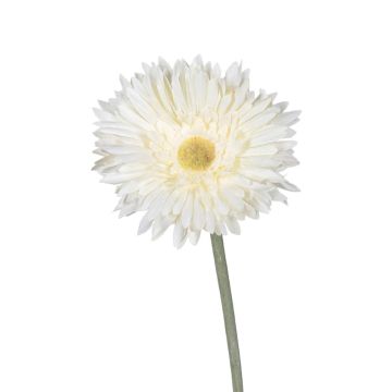 Kunstblume Gerbera NALERIAS, creme, 45cm Kunstblume Gerbera NALERIAS, creme, 45cm