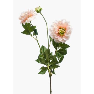 Künstliche Blume Dahlie NAXOS mit Blüten, rosa-grün, 70cm, Ø10-11cm