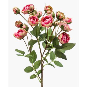 Künstliche Blume Rosenzweig TOSSA, pink-grün, 60cm, Ø1-4cm Künstliche Blume Rosenzweig TOSSA, pink-grün, 60cm, Ø1-4cm