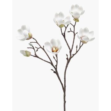 Künstliche Magnolie ANEU, creme, 65cm, Ø7-8cm