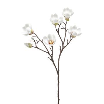 Künstliche Magnolie ANEU, creme, 65cm, Ø7-8cm