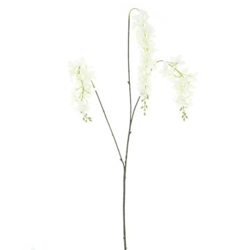 Kunstzweig Blauregen GUELLA mit Blüten, weiß, 110cm Kunstzweig Blauregen GUELLA mit Blüten, weiß, 110cm