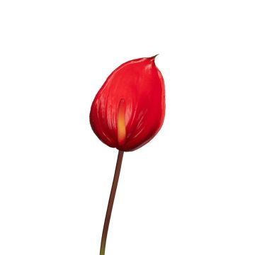 Künstliche Flamingoblume NYVERA, rot, 60cm Künstliche Flamingoblume NYVERA, rot, 60cm