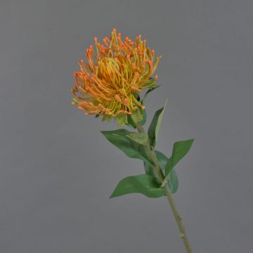 Künstliche Blume Nadelkissen Protea HERVAS, orange, 70cm, Ø12cm