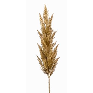 Deko Zweig Pampasgras Rispe BATERNO, hellbraun, 115cm Deko Zweig Pampasgras Rispe BATERNO, hellbraun, 115cm