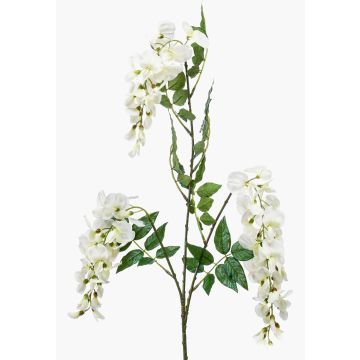 Kunst Blauregen Zweig ONORATO mit Blüten, creme, 70cm Kunst Blauregen Zweig ONORATO mit Blüten, creme, 70cm
