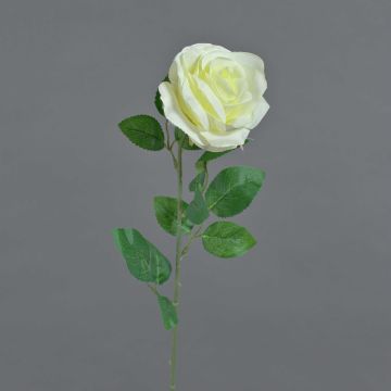 Rose künstlich PEZOS, creme, 60cm, Ø10cm