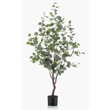 Kunstbaum Eukalyptus ANUHEA, Kunststamm, grün-grau, 120cm