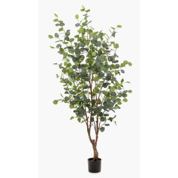 Kunstbaum Eukalyptus ANUHEA, Kunststamm, grün-grau, 140cm