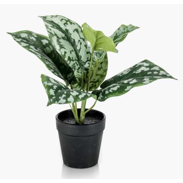 Künstliche Pflanze Gefleckte Efeutute OBASI, grün-weiß, 25cm