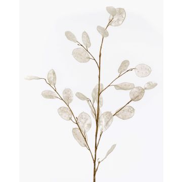 Deko Zweig Lunaria BUELNA, creme, 105cm