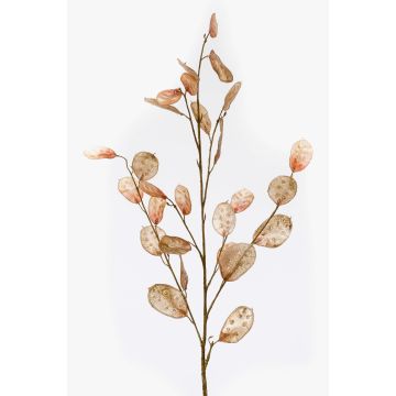 Deko Zweig Lunaria BUELNA, hellbraun, 105cm