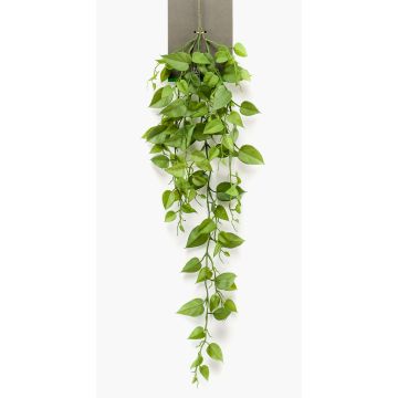 Dekopflanze Philodendron Scandens Hänger RUESCA auf Steckstab, 90cm