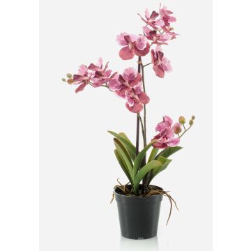 Künstliche Vanda Orchidee CAMPO, rosa-pink, 60cm