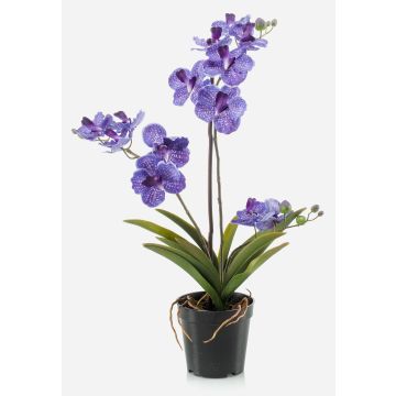 Künstliche Vanda Orchidee CAMPO, violett, 60cm Künstliche Vanda Orchidee CAMPO, violett, 60cm