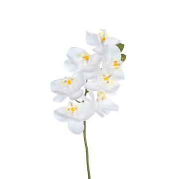 Künstliche Phalaenopsis Orchidee PUNIELA, weiß, 60cm Künstliche Phalaenopsis Orchidee PUNIELA, weiß, 60cm