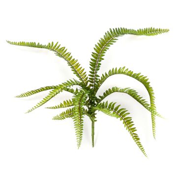 Farn künstlich Schwertfarn ARVO auf Steckstab, 60cm, Ø70cm Farn künstlich Schwertfarn ARVO auf Steckstab, 60cm, Ø70cm