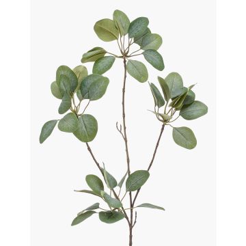 Eukalyptuszweig künstlich KRISZTOFER, grün, 90cm
