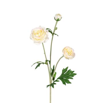 Kunstzweig Ranunkel RETIANNE, creme-rosa, 65cm Kunstzweig Ranunkel RETIANNE, creme-rosa, 65cm