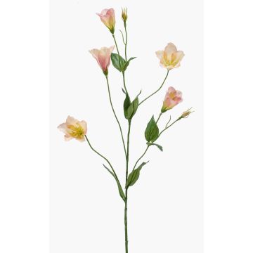 Kunstzweig Lisianthus PAZAN, rosa-creme, 70cm, Ø3-5cm