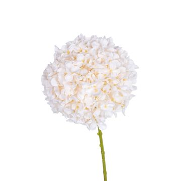 Textilblume Hortensie SABIOLA, creme, 65cm