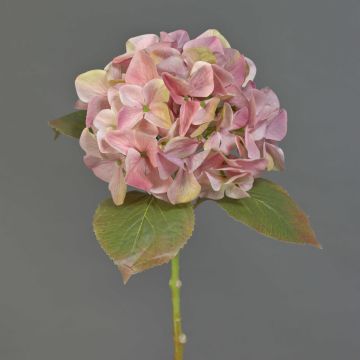 Künstliche Hortensie AMARILDO, rosa-gelb, 50cm, Ø16cm