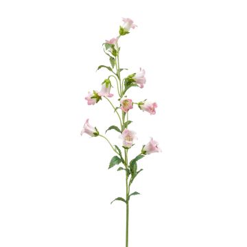 Blume künstlich Glockenblume AIMI, rosa-weiß, 90cm, Ø3-5cm