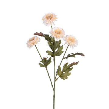 Kunstzweig Chrysantheme SEILAMA, creme, 60cm Kunstzweig Chrysantheme SEILAMA, creme, 60cm