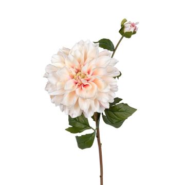 Kunstzweig Dahlie SELIPIA, creme-rosa, 60cm Kunstzweig Dahlie SELIPIA, creme-rosa, 60cm