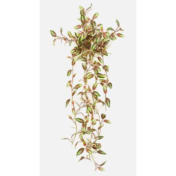 Fake Pflanze Tradescantia zebrina DIHALLO auf Steckstab, hängend, grün-rot, 70cm