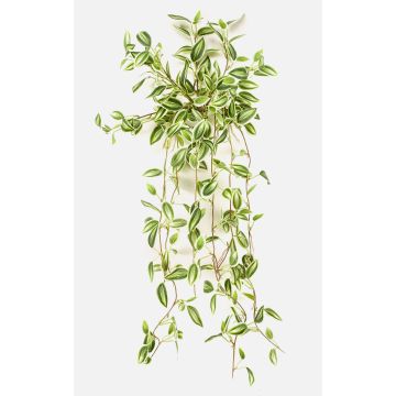Fake Pflanze Tradescantia zebrina DIHALLO auf Steckstab, hängend, grün-weiß, 70cm
