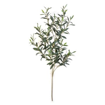 Kunst Olivenzweig LORRIS, schwer entflammbar, grün, 110cm