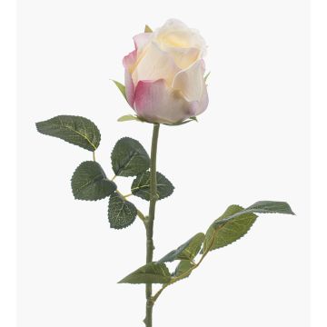 Rose künstlich DIXLEN, weiß-rosa, 70cm, Ø7cm Rose künstlich DIXLEN, weiß-rosa, 70cm, Ø7cm