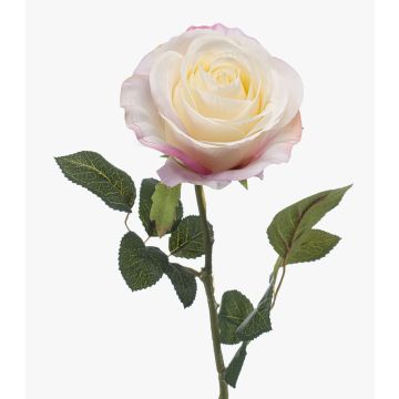 Künstliche Rose BRUNETTE, weiß-rosa, 70cm, Ø11cm Künstliche Rose BRUNETTE, weiß-rosa, 70cm, Ø11cm