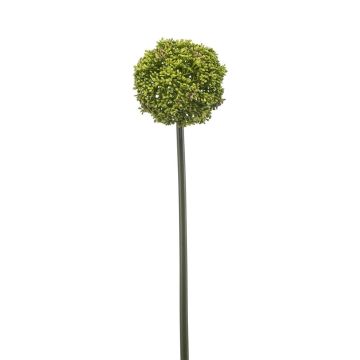 Kunstblume Allium TUXLON, grün, 75cm