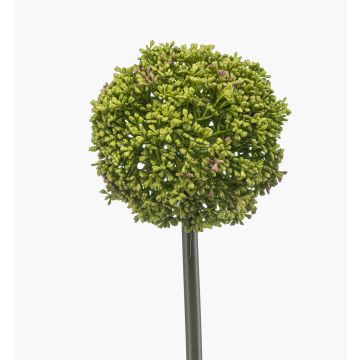 Kunstblume Allium TUXLON, grün, 75cm Kunstblume Allium TUXLON, grün, 75cm