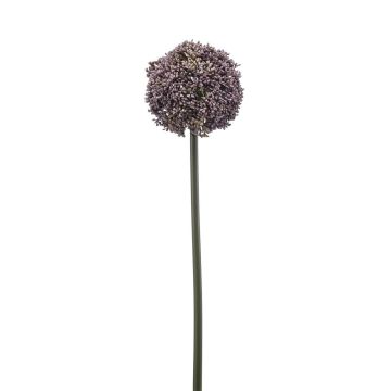 Kunstblume Allium TUXLON, lila, 75cm