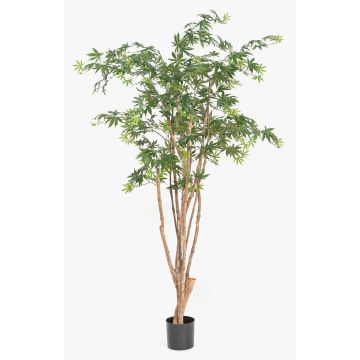 Künstlicher Japanischer Ahornbaum ILIANU, Echtstämme, grün, 180cm