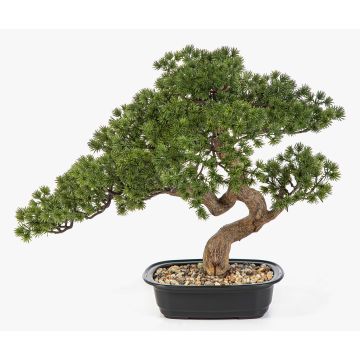 Künstliche Bonsai Pinie KANYA in Pflanzschale, 45cm Künstliche Bonsai Pinie KANYA in Pflanzschale, 45cm