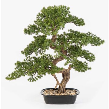 Künstliche Bonsai Pinie KANYA in Pflanzschale, 70cm Künstliche Bonsai Pinie KANYA in Pflanzschale, 70cm