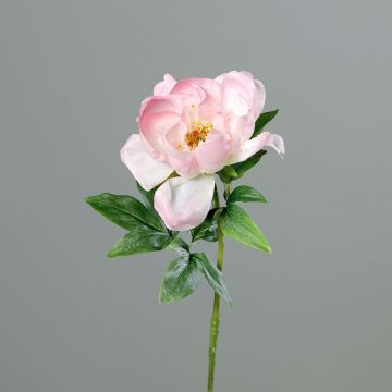 Kunstblume Pfingstrose GILUMINA, weiß-rosa, 55cm