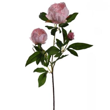 Kunstzweig Pfingstrose FIERATY, rosa, 70cm Kunstzweig Pfingstrose FIERATY, rosa, 70cm